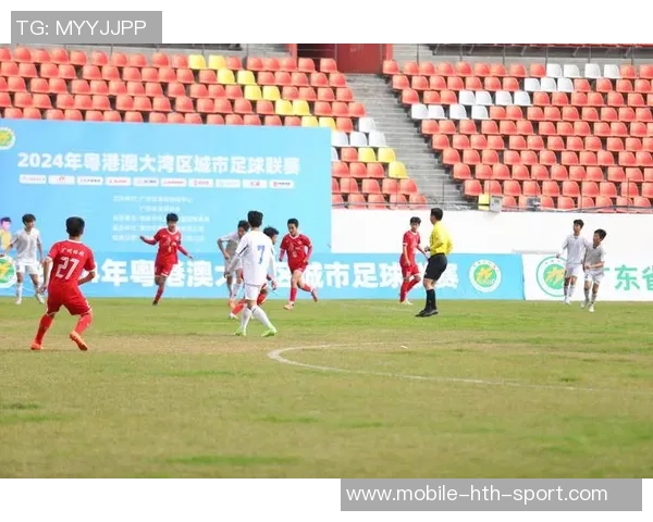 肇庆专业足球场建设进展及未来发展规划全解析 肇庆专业足球场建设进展及未来发展规划全解析